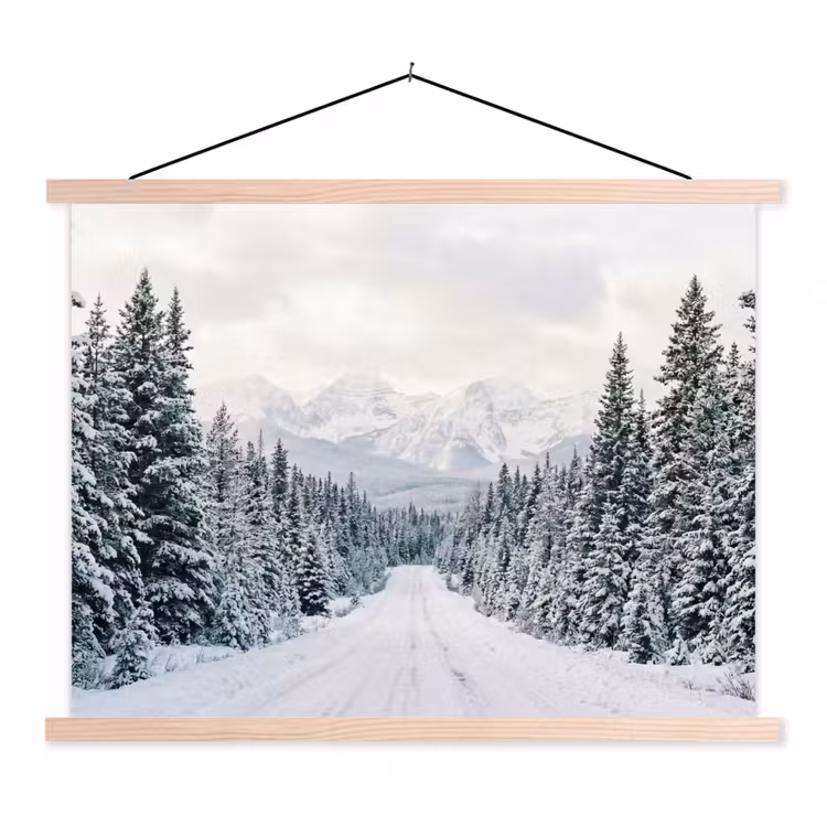 Schoolplaat - Weg - Sneeuw - Naaldbos - Winter - Avontuurlijk — 1