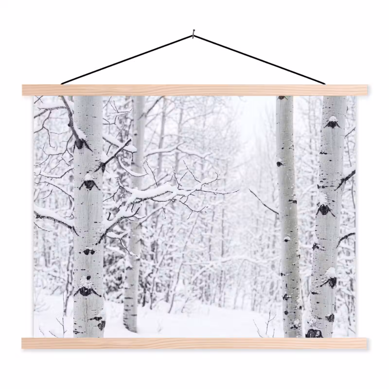 Schoolplaat - Berkenbomen - Sneeuw - Winter - Bos - Wit — 1