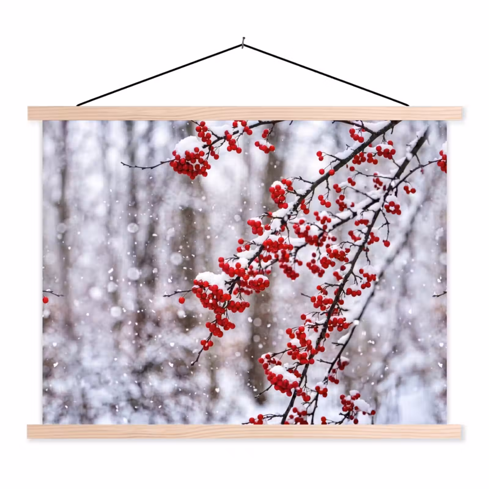 Schoolplaat - Bessen - Takken - Sneeuw - Winter - Kleurrijk — 1