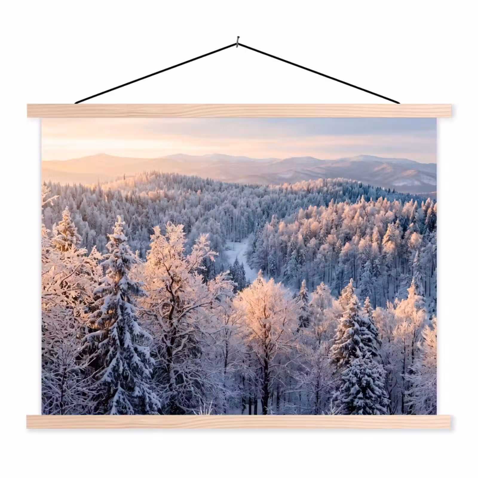 Schoolplaat - Bos - Bergen - Goud - Winter - Warm — 1
