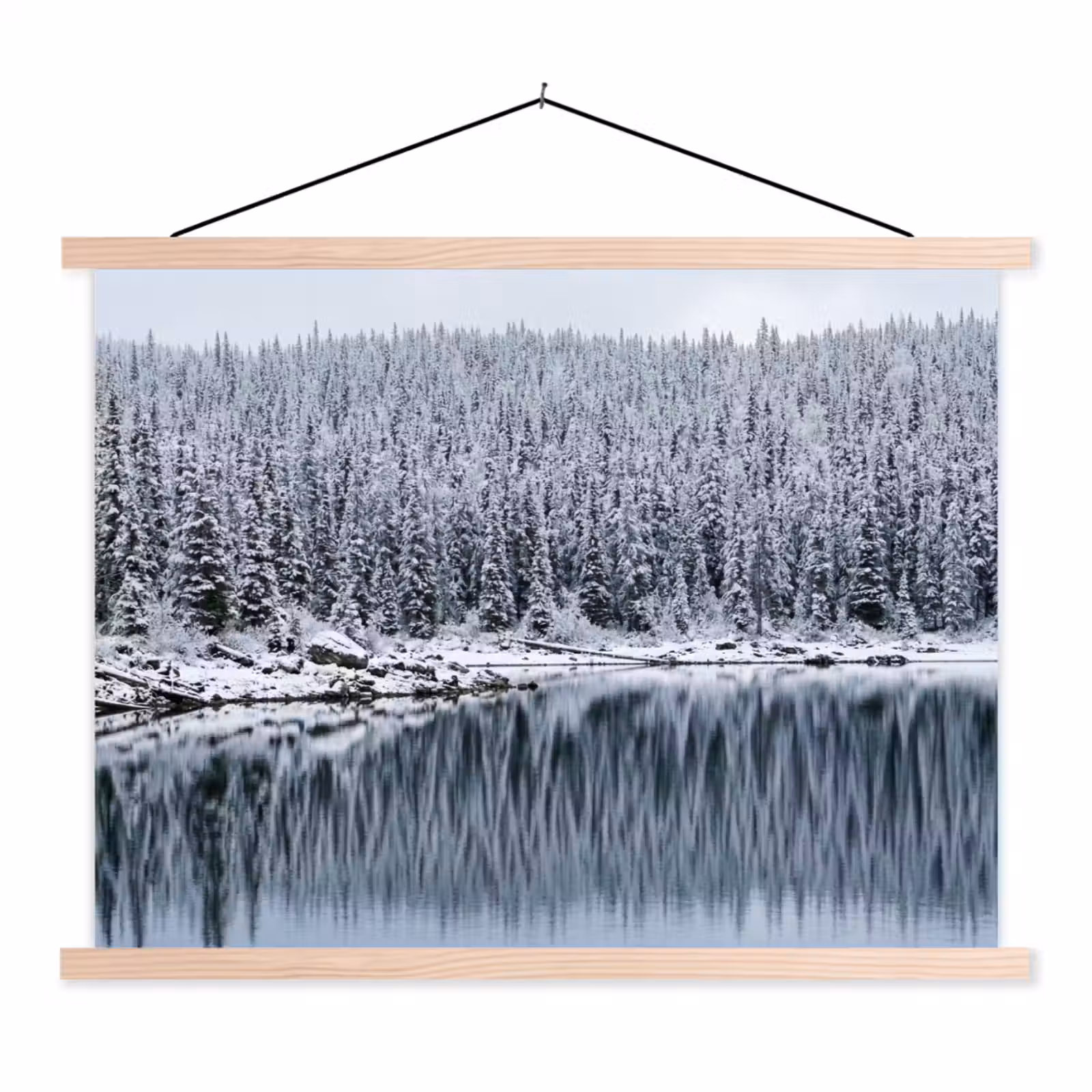 Schoolplaat - Bos - Reflectie - Meer - Winter - Serene — 1