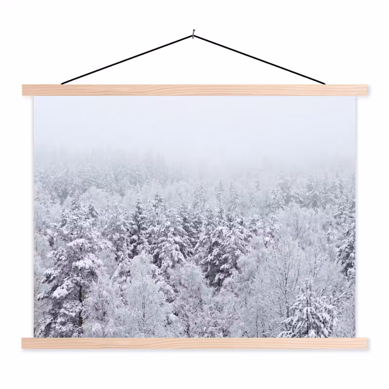 Schoolplaat - Bos - Sneeuw - Winter - Natuur - Wit — 1