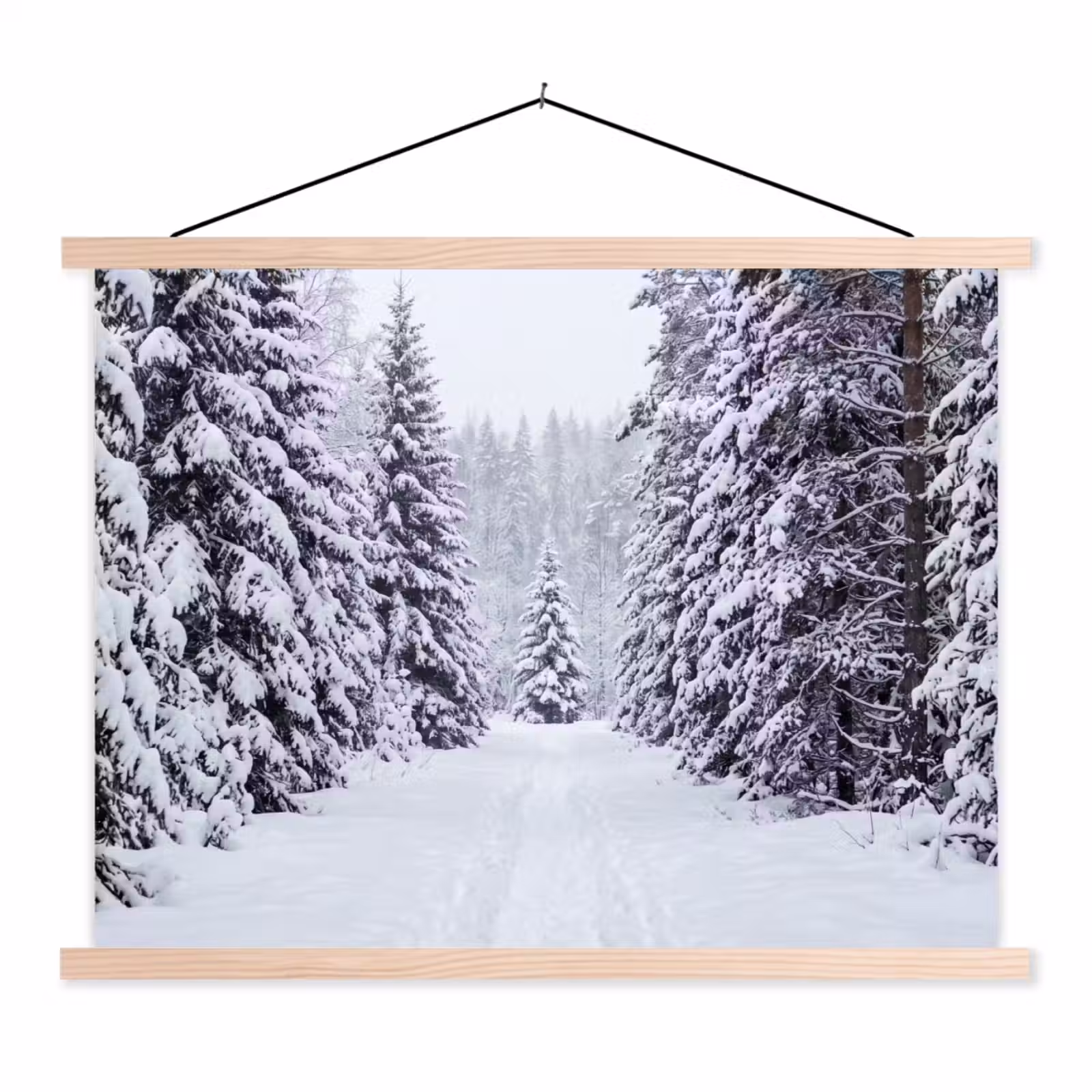 Schoolplaat - Bos - Winter - Sneeuw - Pad - Natuur — 1
