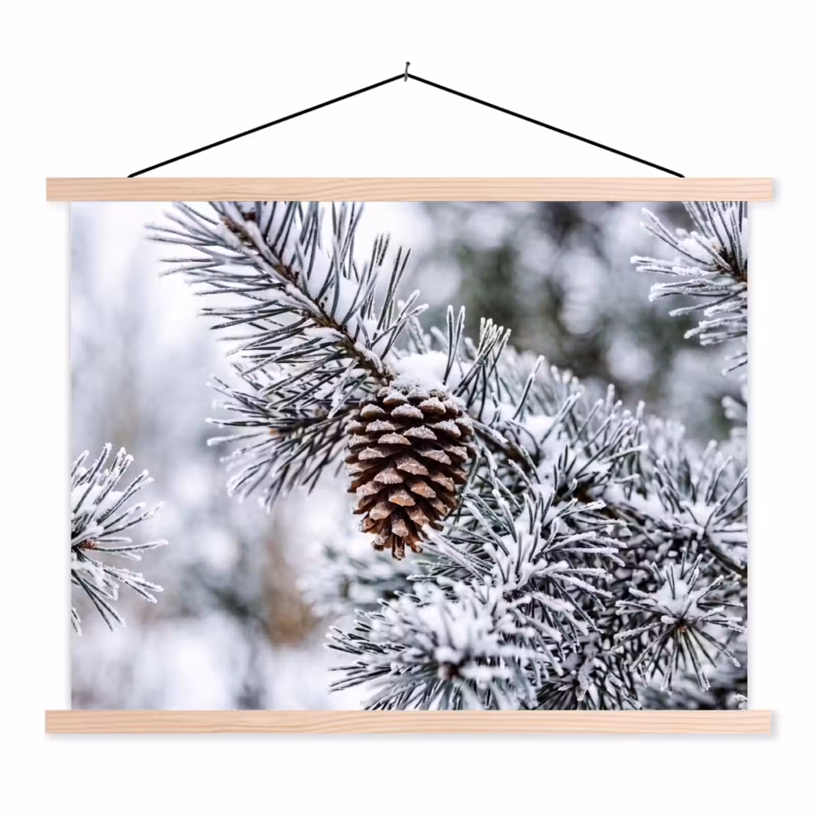 Schoolplaat - Dennenappel - Tak - Sneeuw - Winter - Sfeervol — 1