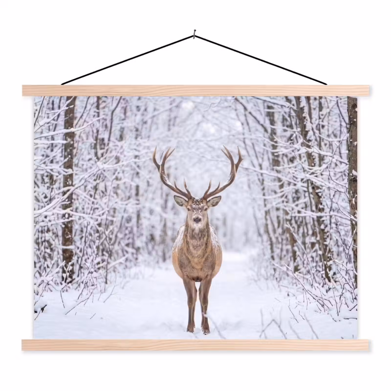 Schoolplaat - Hert - Winter - Bos - Natuur - Wit — 1