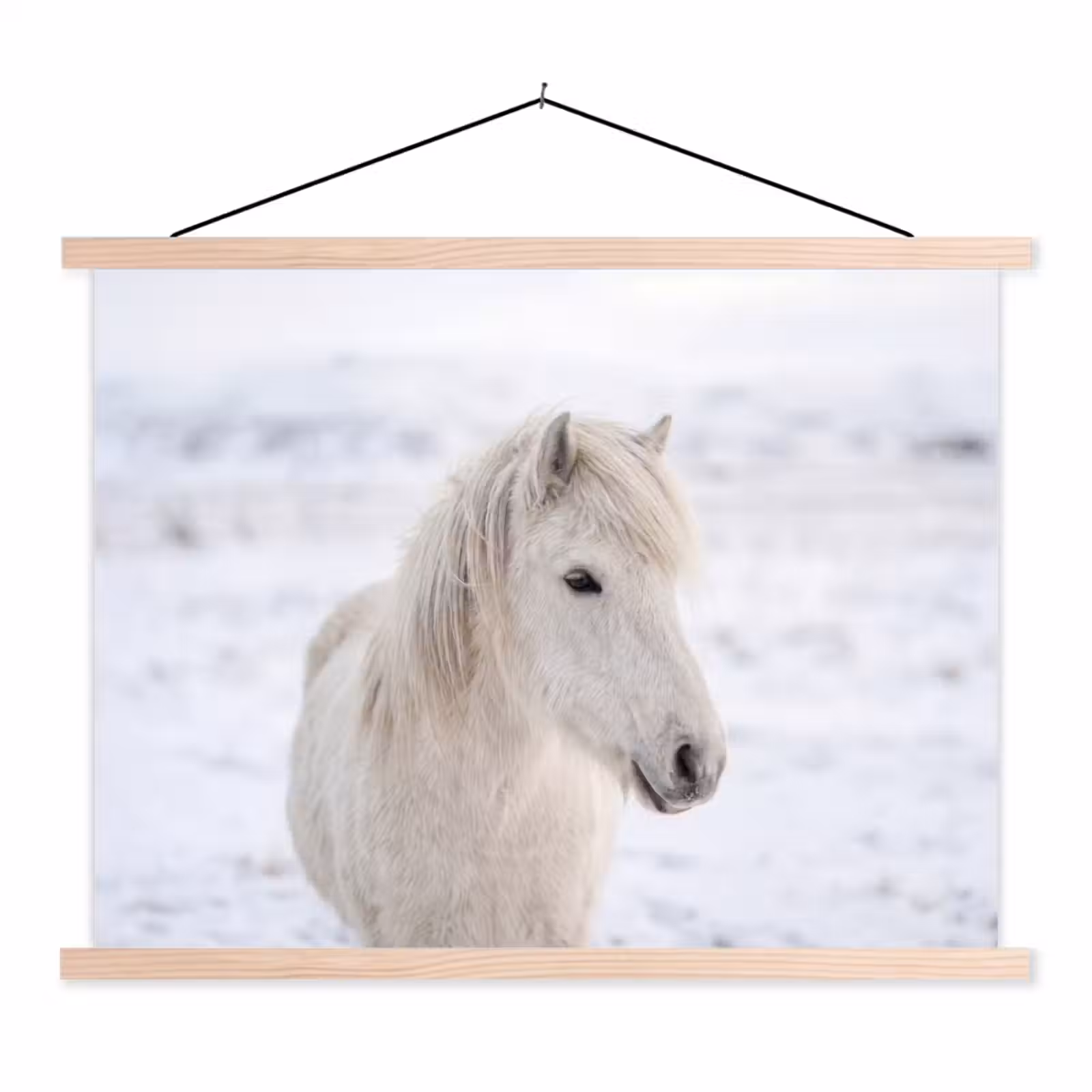 Schoolplaat - Paard - Kop - Winter - Dieren - Wit — 1