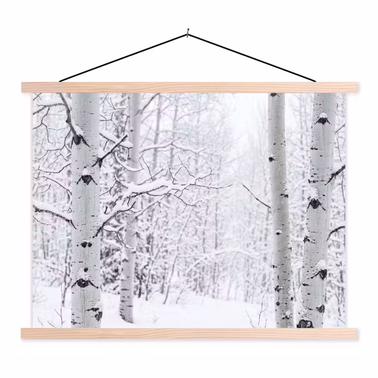 Schoolplaat - Berkenbomen - Sneeuw - Winter - Bos - Wit — 1