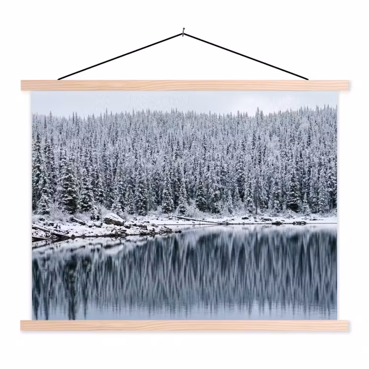 Schoolplaat - Bos - Reflectie - Meer - Winter - Serene — 1