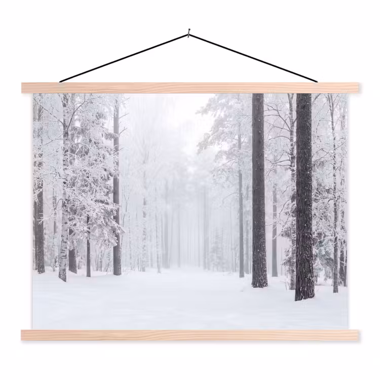 Schoolplaat - Bos - Sneeuw - Pad - Winter - Stilte — 1