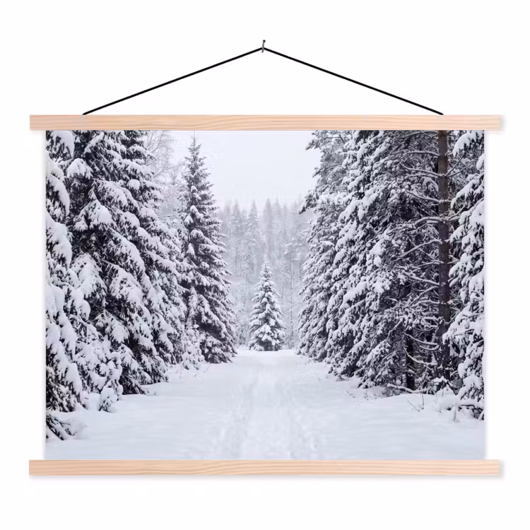 Schoolplaat - Bos - Winter - Sneeuw - Pad - Natuur — 1