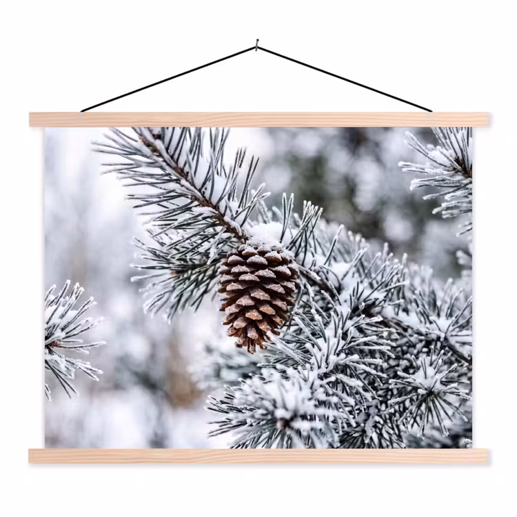 Schoolplaat - Dennenappel - Tak - Sneeuw - Winter - Sfeervol — 1