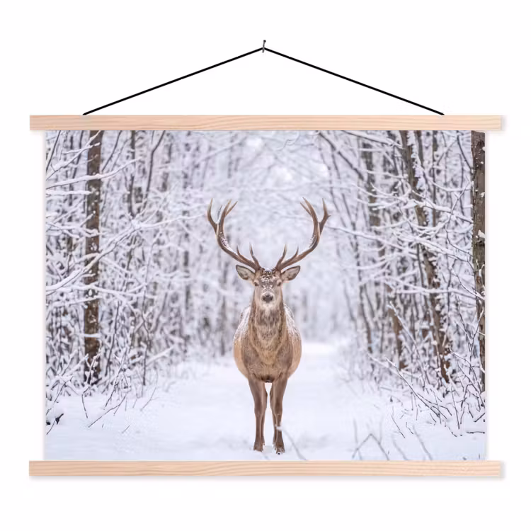 Schoolplaat - Hert - Winter - Bos - Natuur - Wit — 1