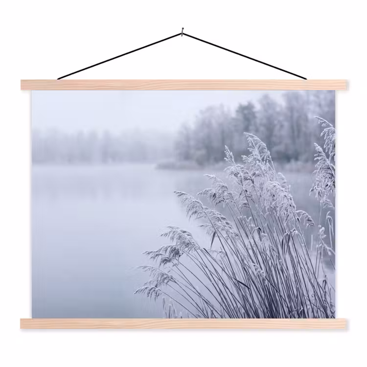 Schoolplaat - Riet - Bevroren - Winter - Natuur — 1