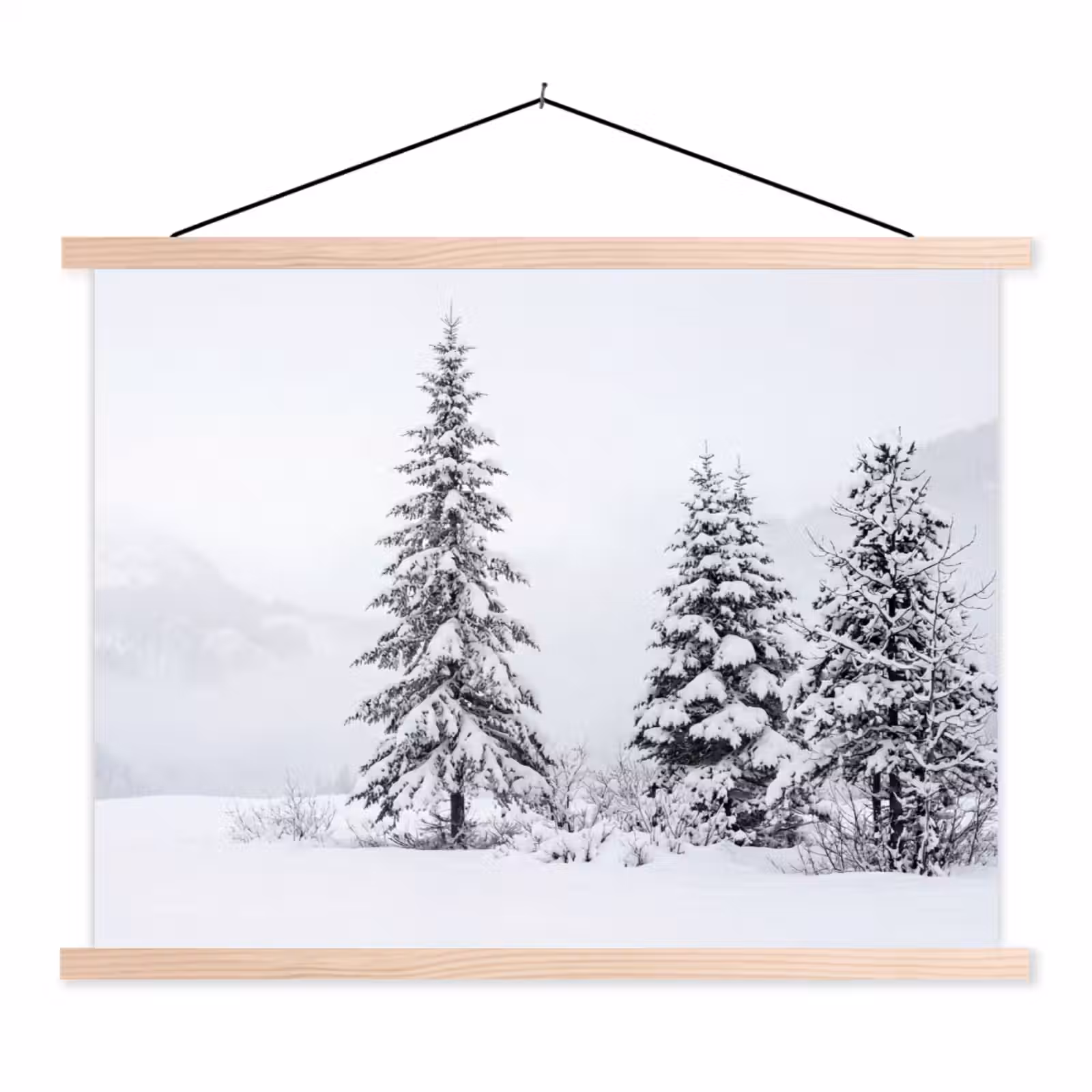 Schoolplaat - Fijnsparren - Sneeuw - Winter - Landschap - Stilte — 1