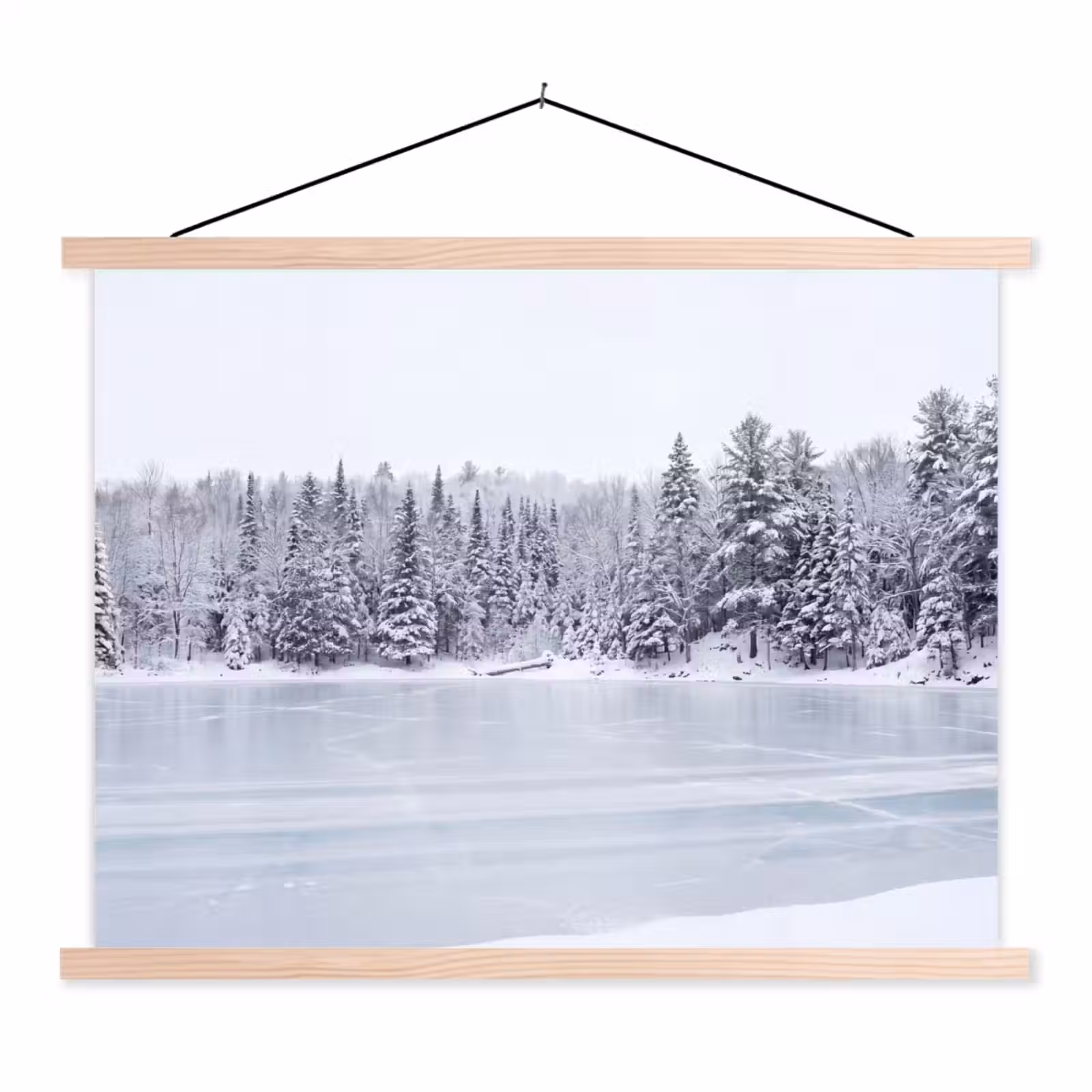 Schoolplaat - Meer - Dennen - IJs - Winter - Rustgevend — 1