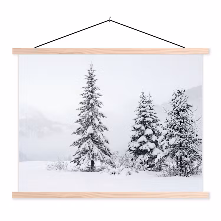 Schoolplaat - Fijnsparren - Sneeuw - Winter - Landschap - Stilte — 1