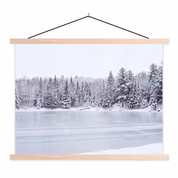 Schoolplaat - Meer - Dennen - IJs - Winter - Rustgevend — 1