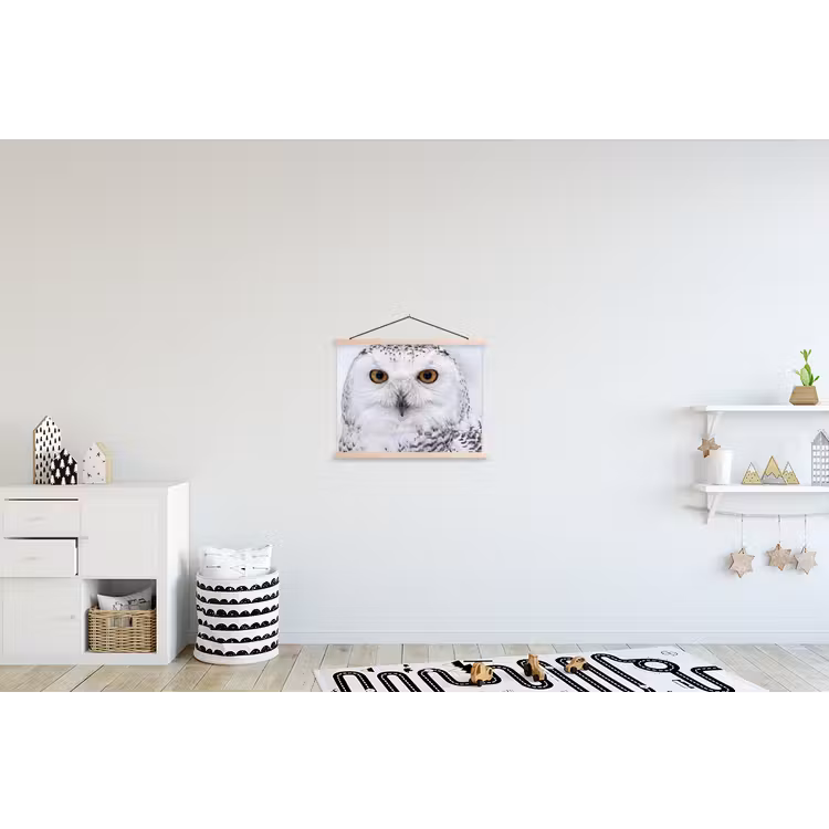 Schoolplaat - Sneeuwuil - Oog - Wildlife - Wit — 3