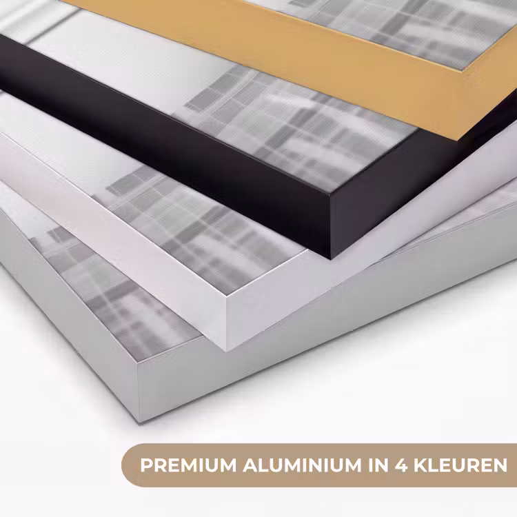 Art Frame - Kat - Siamees - Zwart Wit - Schattig - Dieren — 2