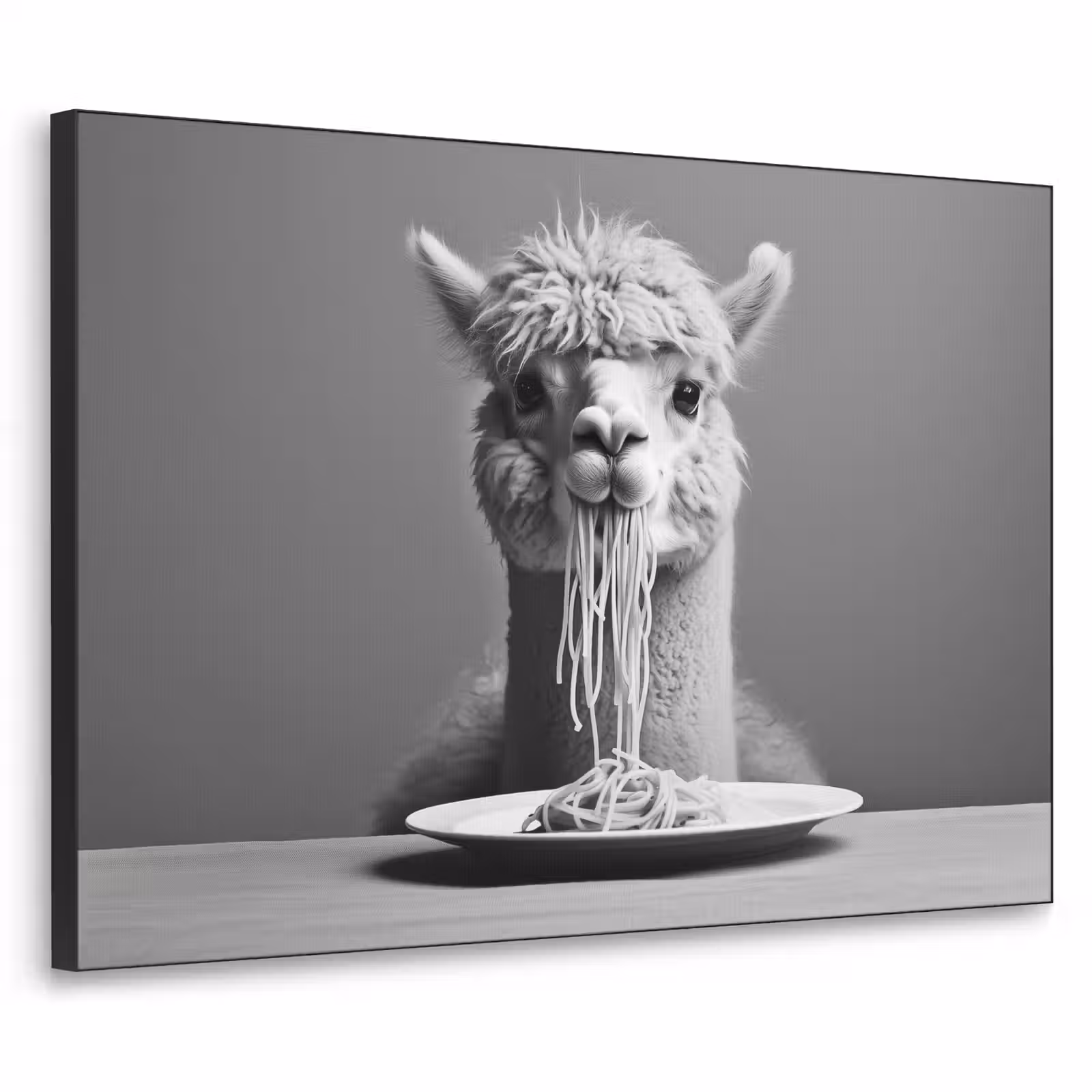Art Frame - Alpaca - Pasta - Zwart - Wit - Grappig - Dieren — 1