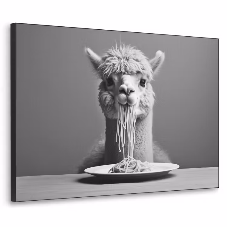 Art Frame - Alpaca - Pasta - Zwart - Wit - Grappig - Dieren — 1