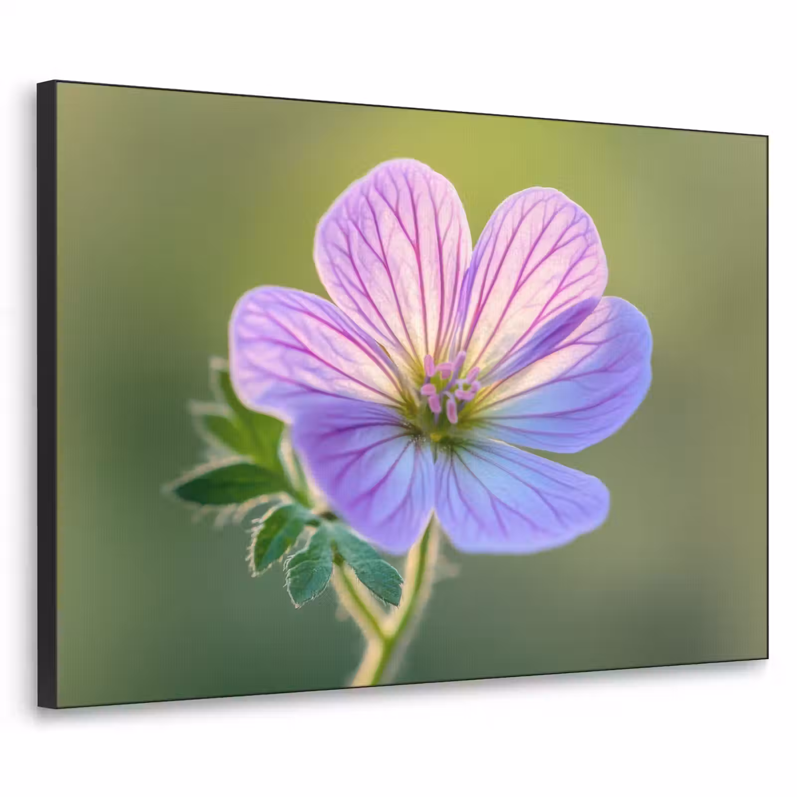 Art Frame - Bloem - Close up - Paars — 1