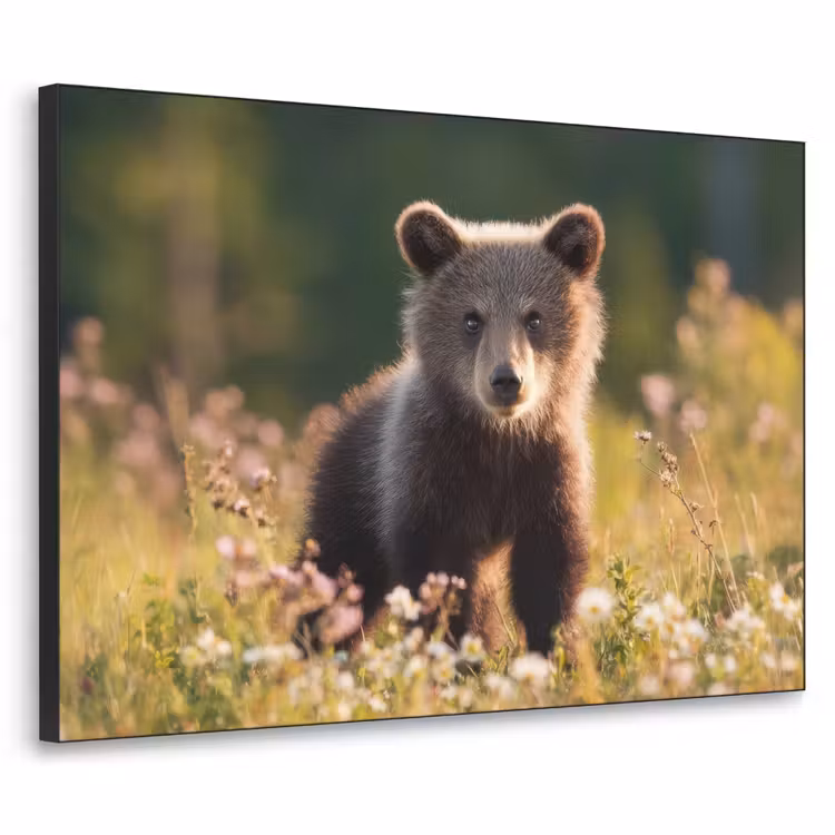 Art Frame - Beer - Bloemenveld - Gras — 1