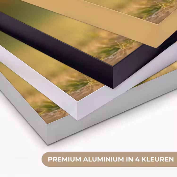 Art Frame - Konijntje - Bruin - Gras — 2