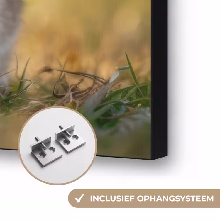 Art Frame - Konijntje - Bruin - Gras — 6
