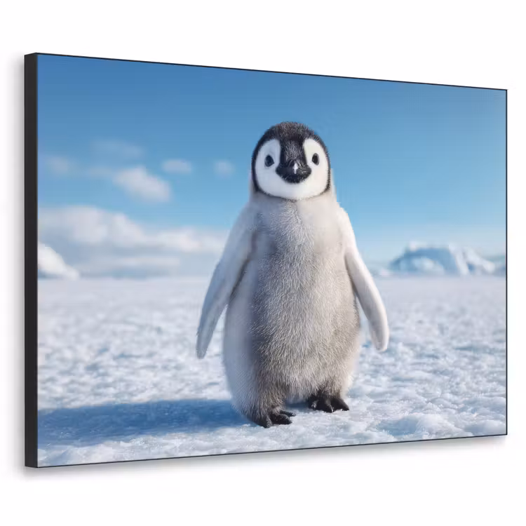 Art Frame - Pinguïn - Sneeuw - Landschap - Wit — 1