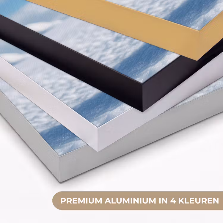 Art Frame - Pinguïn - Sneeuw - Landschap - Wit — 2