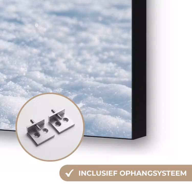 Art Frame - Pinguïn - Sneeuw - Landschap - Wit — 6