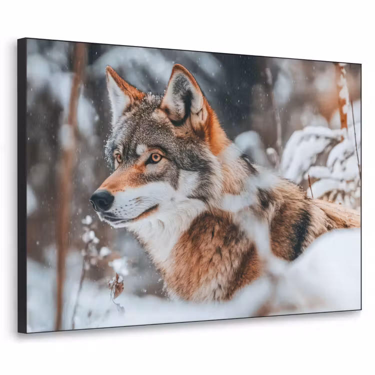 Art Frame - Wolf - Sneeuw - Winter - Dieren - Natuur - Sneeuw — 1