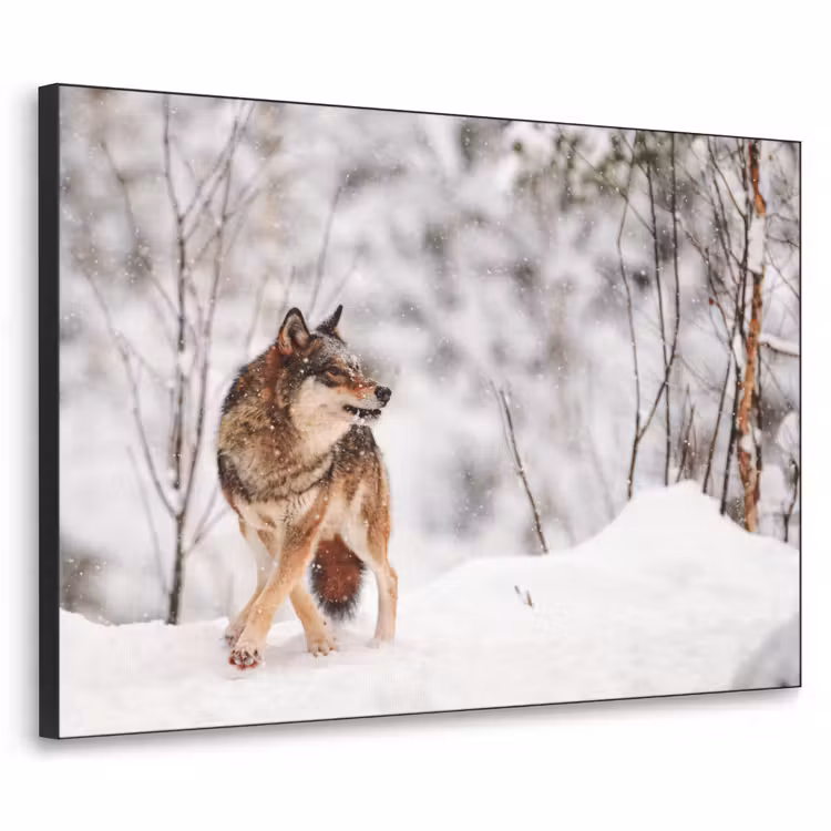 Art Frame - Wolf - Winter - Sneeuw - Natuur - Dieren — 1