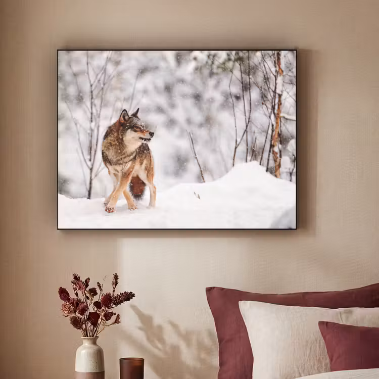 Art Frame - Wolf - Winter - Sneeuw - Natuur - Dieren — 3