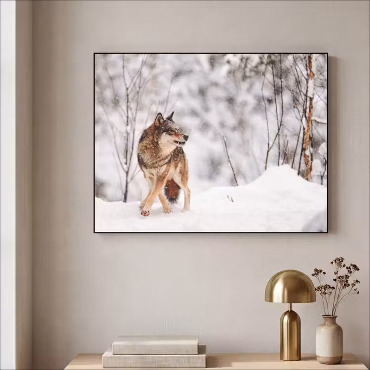 Art Frame - Wolf - Winter - Sneeuw - Natuur - Dieren — 5