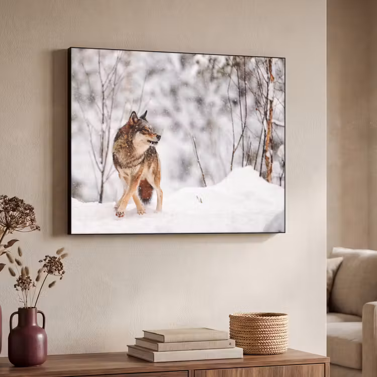 Art Frame - Wolf - Winter - Sneeuw - Natuur - Dieren — 7
