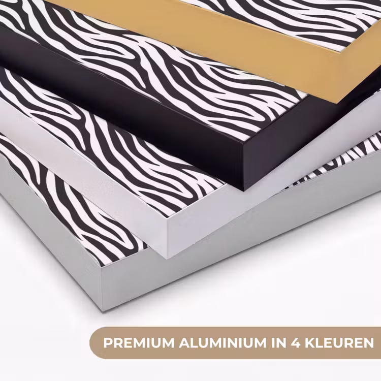 Art Frame - Zwart - Wit - Zebra - Patroon — 2