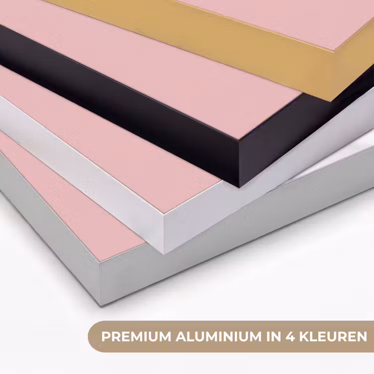 Art Frame - Zwaan - Koksmuts - Mooi - Klassiek — 2