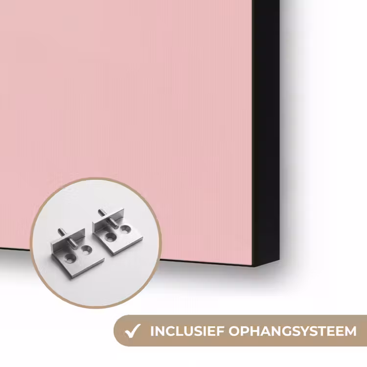 Art Frame - Zwaan - Koksmuts - Mooi - Klassiek — 6