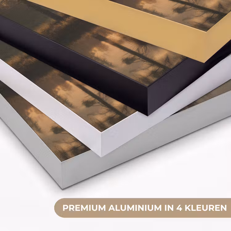 Art Frame - Beer - water - Bos - Ochtendlicht — 2