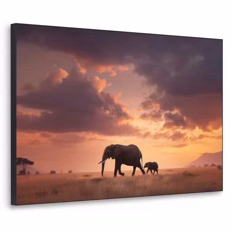Art Frame - Olifanten - Grasland - Zonsondergang — 1
