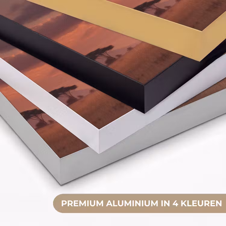 Art Frame - Olifanten - Grasland - Zonsondergang — 2