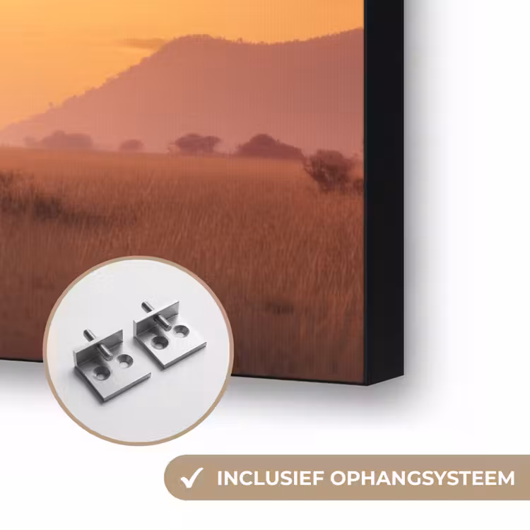 Art Frame - Olifanten - Grasland - Zonsondergang — 6