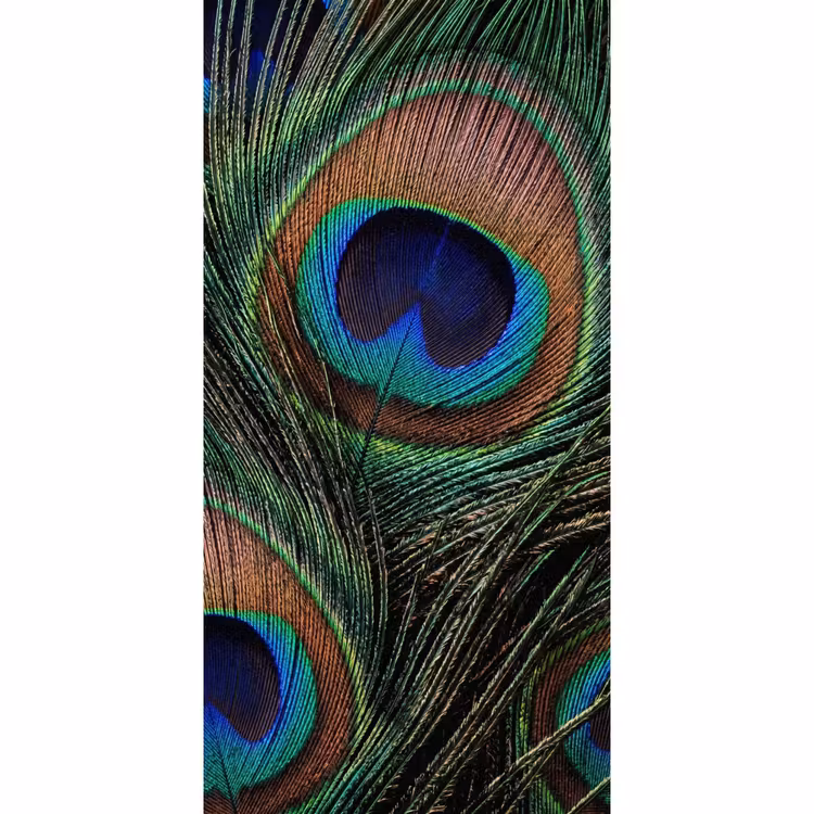 Behang - Pauwenveren - Klassiek - Groen — 2