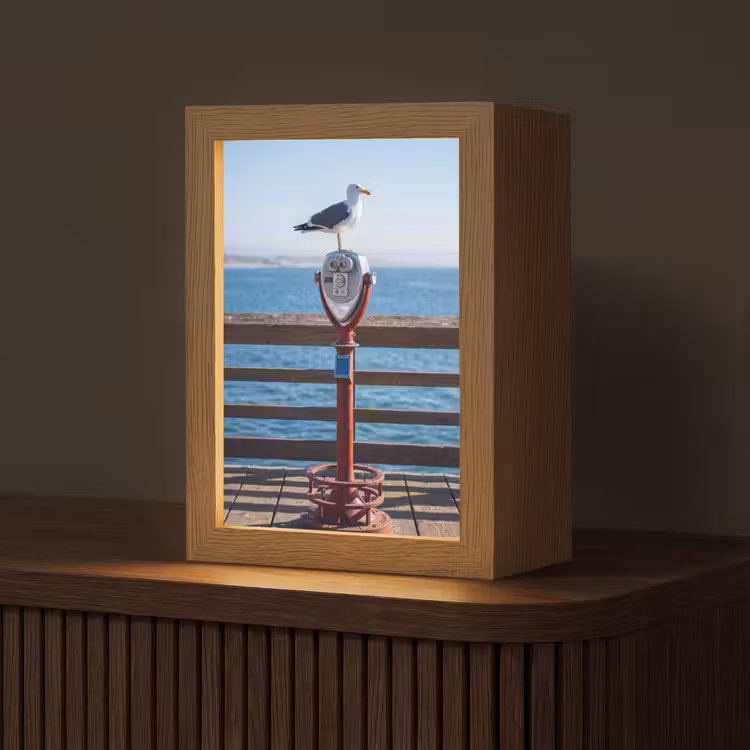 Gepersonaliseerde Lightbox - Vogel - Verrekijker - Kust - Zee - Blauw — 1