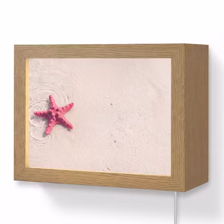 Lightbox - Wandlamp - Zeeleven - Zeester - Strand - Roze - Water — 1