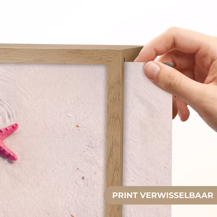 Lightbox - Wandlamp - Zeeleven - Zeester - Strand - Roze - Water — 6