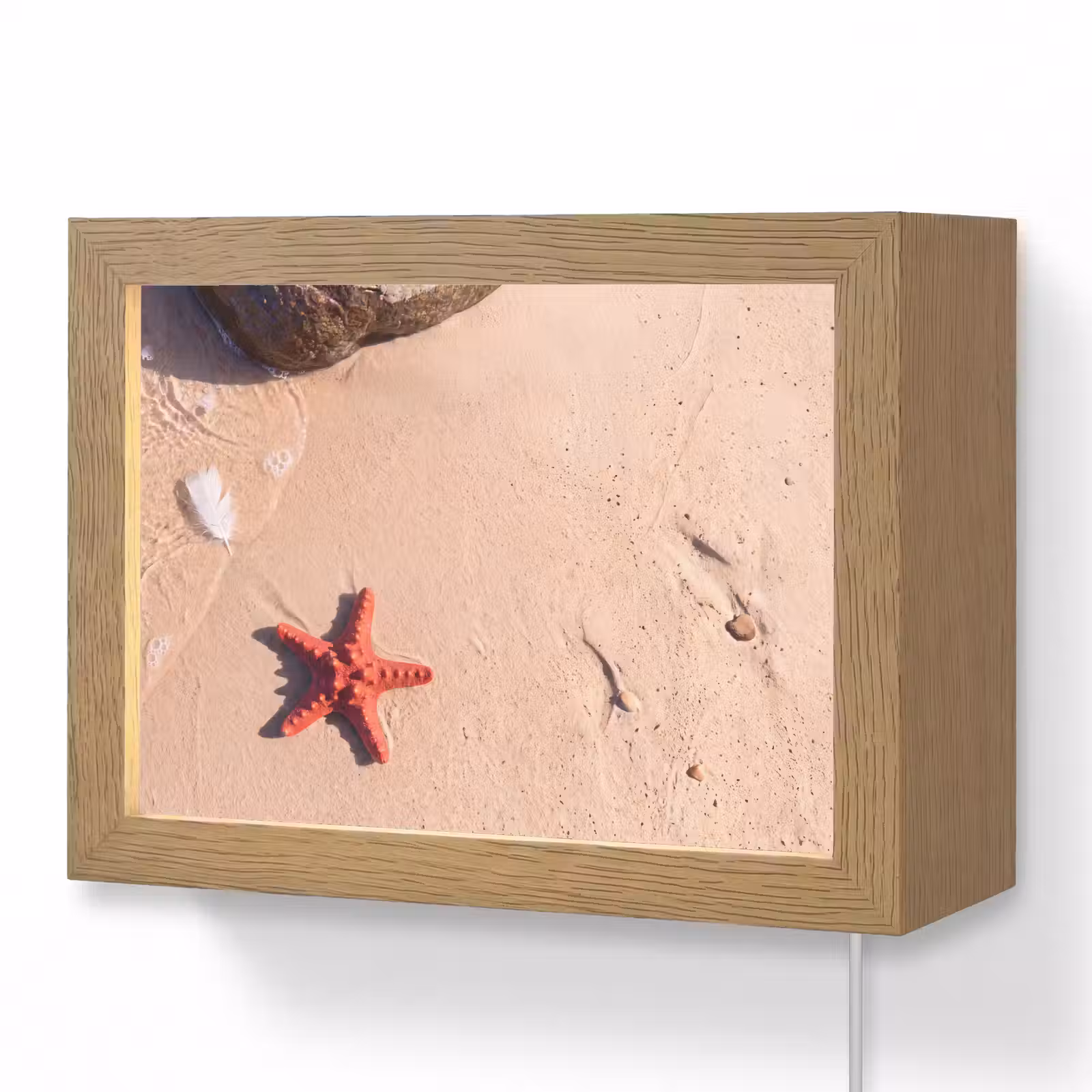 Lightbox - Wandlamp - Dieren - Strand - Zee - Natuur - Rood — 1