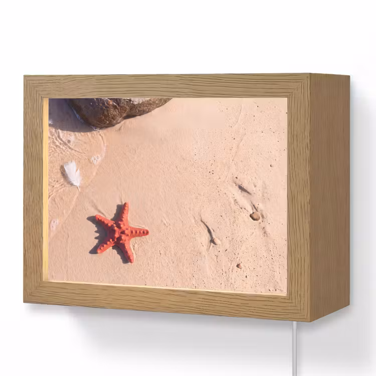 Lightbox - Wandlamp - Dieren - Strand - Zee - Natuur - Rood — 1